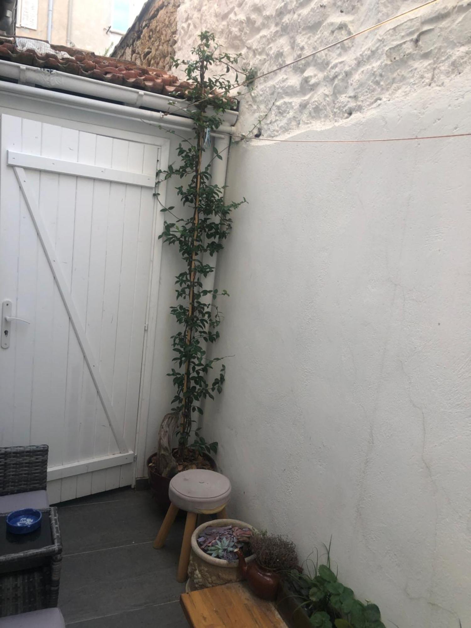 Centre Heart Of Apartment Cannes